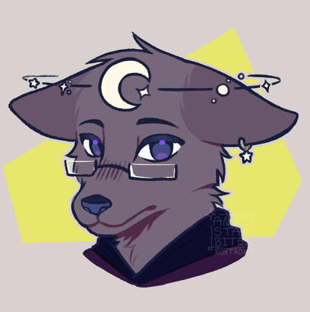 Colored - Bust